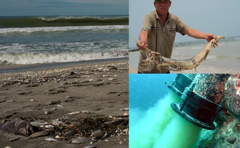 cong-bo-ca-chet-mien-trung-baogiaothong-1150