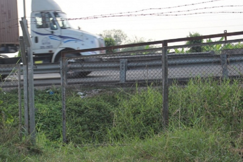 h&agrave;ng r&agrave;o