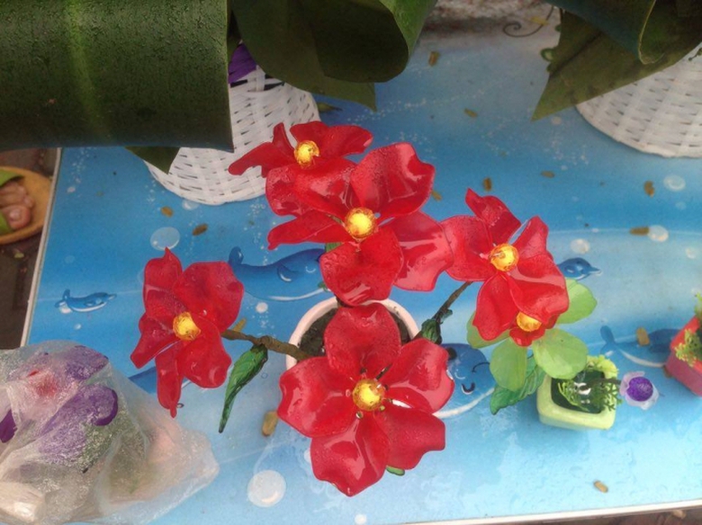 17160512_752889218195022_2001678220_n