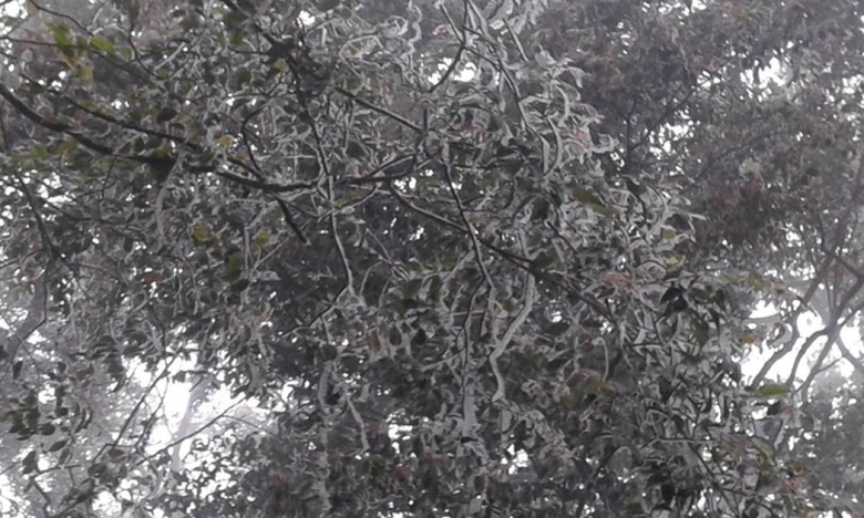 10488152_830033797142054_9011745495040050396_n