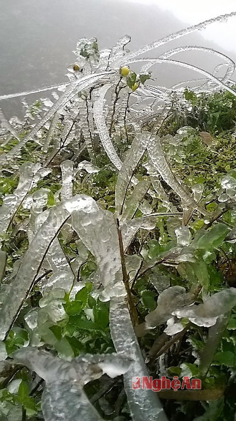 images1447264_1453620482407_177