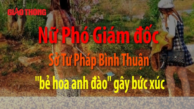 Sequence 01.Still002