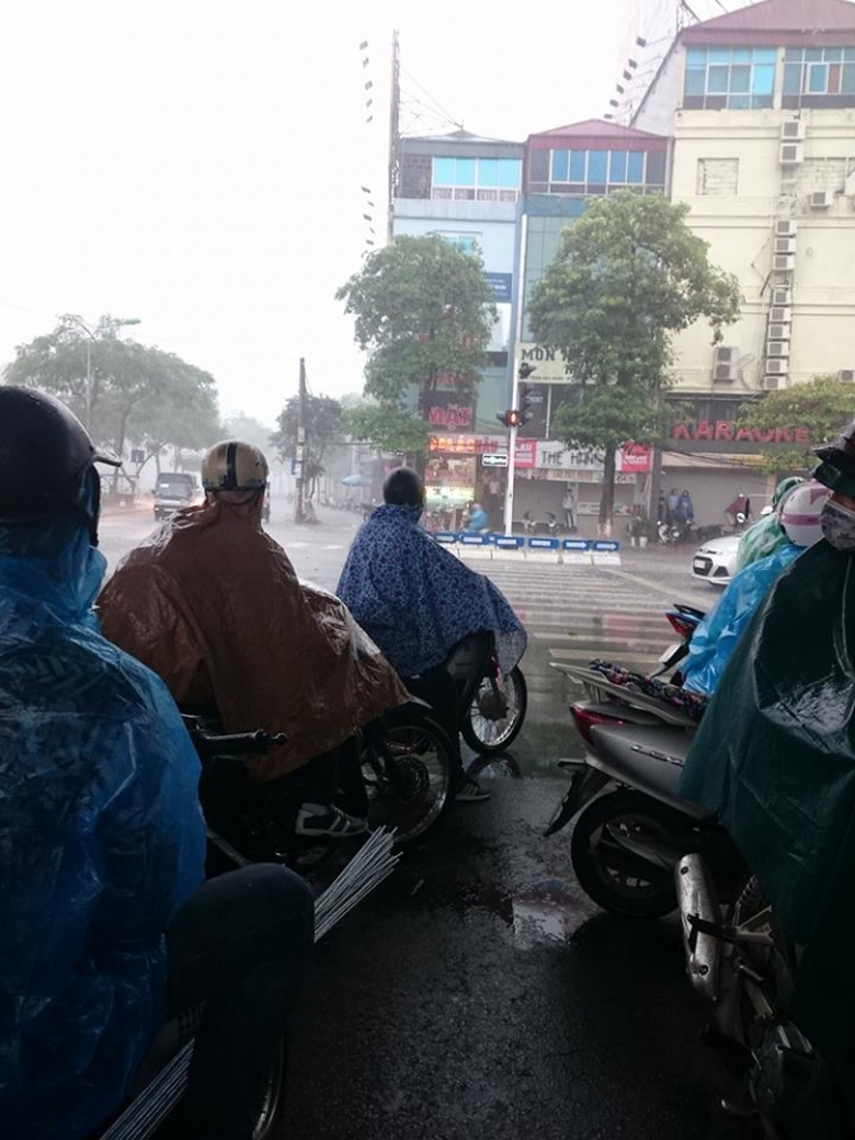 18402755_658272504364000_2290138378879553451_n