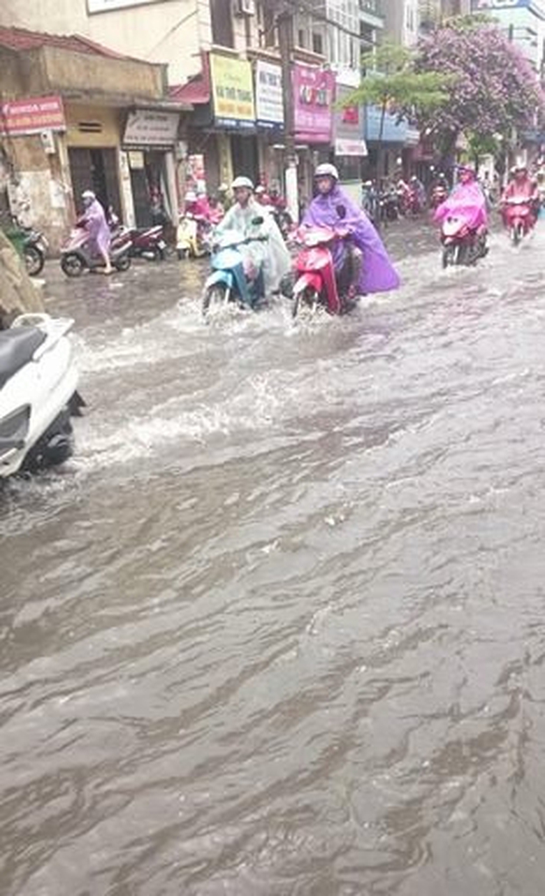 18450220_658284727696111_209892897_n