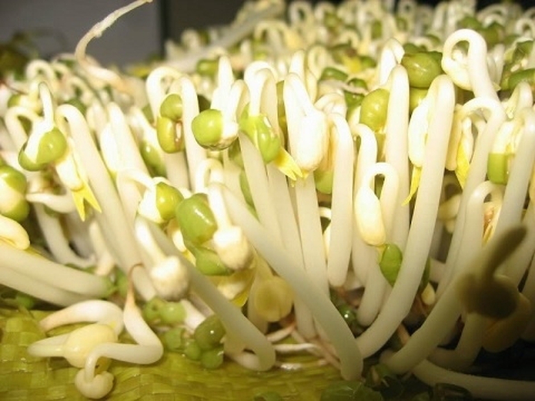 gia-do-xanh-suckhoenhivn-131153-1542