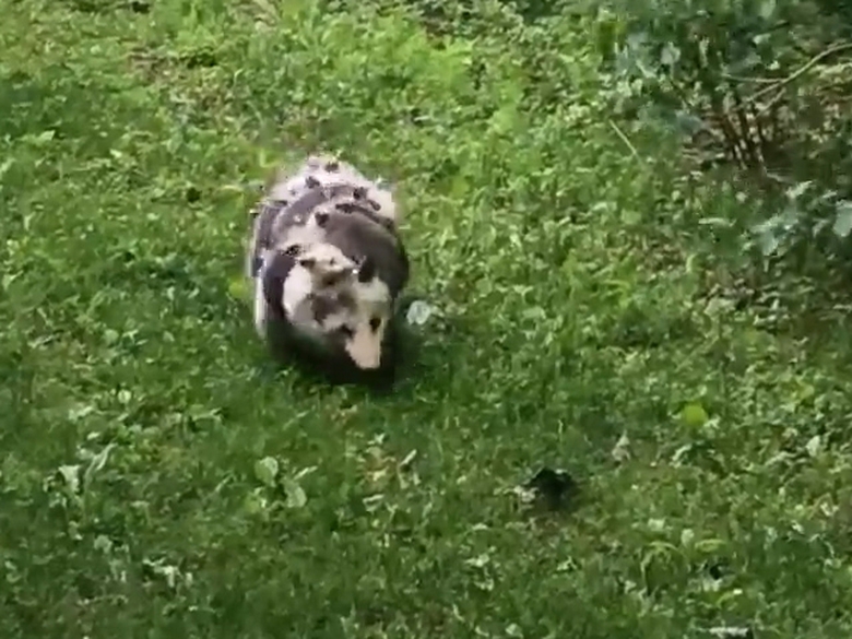 Sequence 01.Still001