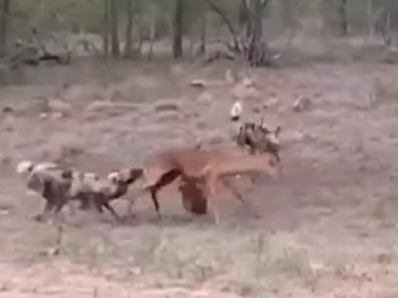 Sequence 01.Still008