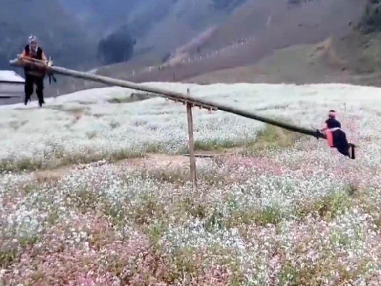 Sequence 01.Still005