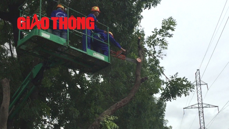 Sequence 01.Still001