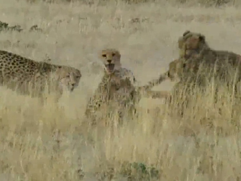 Sequence 01.Still012