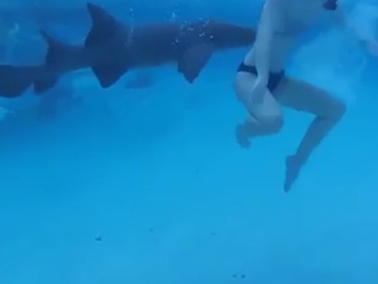 Sequence 01.Still004