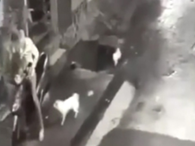 Sequence 01.Still001