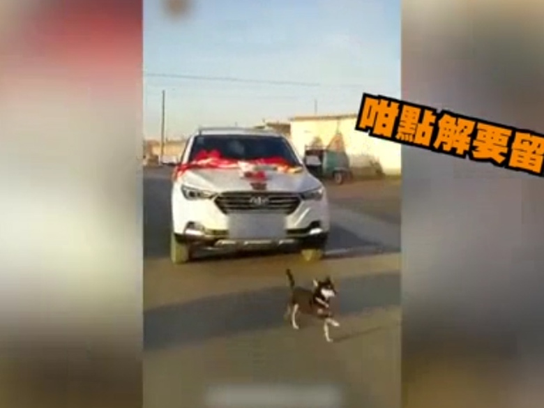 Sequence 01.Still009