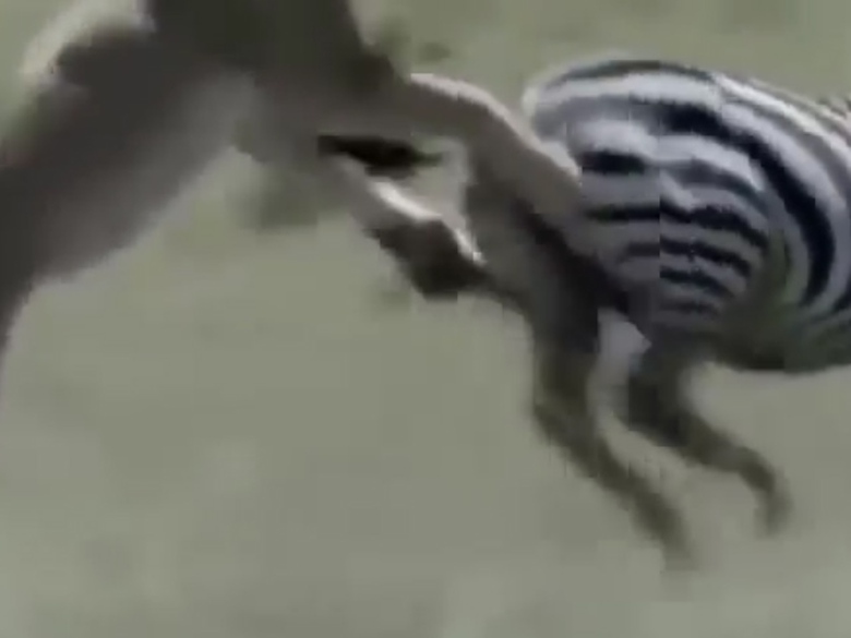 Sequence 01.Still006