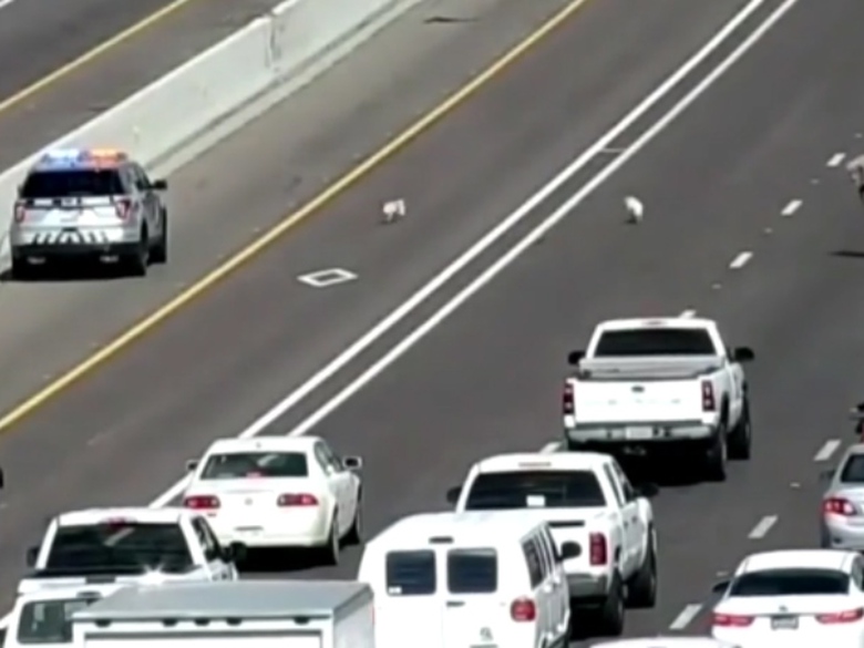 Sequence 01.Still006