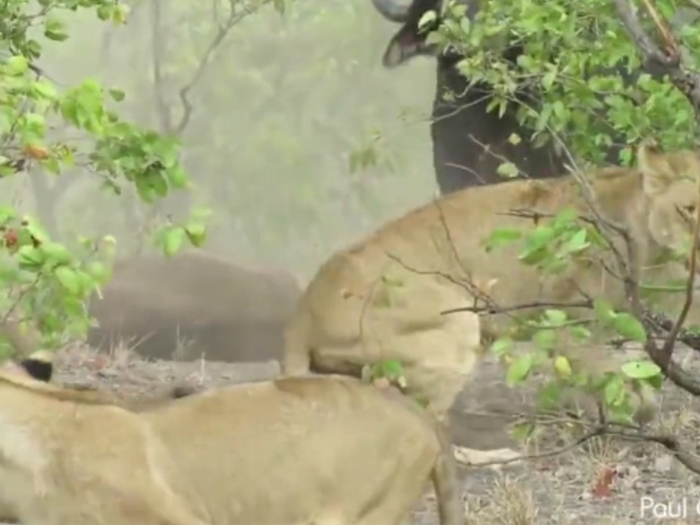 Sequence 01.Still004