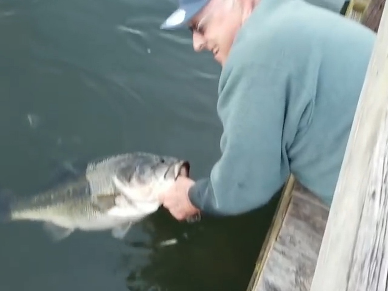 Sequence 01.Still009