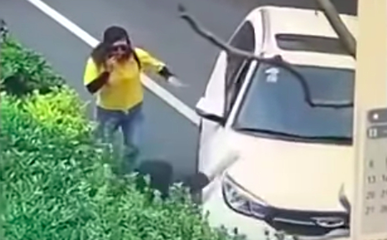 Ảnh chụp M&agrave;n h&igrave;nh 2018-05-28 l&uacute;c 20.58.28