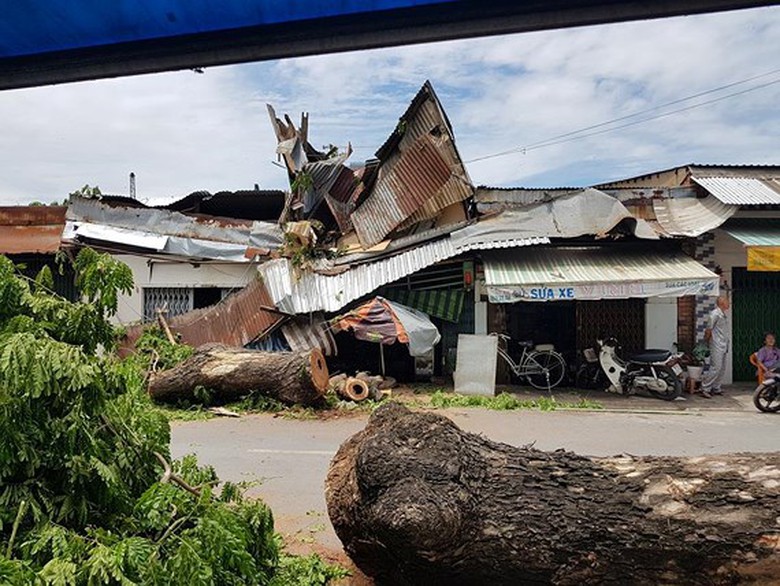 35076570_2036658859995509_2268970822351716352_n_sj