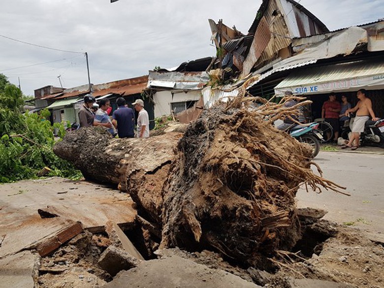 34706975_2036654973329231_5016290148371922944_n_am