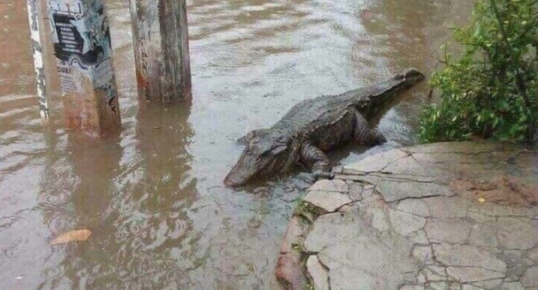 Ảnh chụp M&agrave;n h&igrave;nh 2018-12-09 l&uacute;c 19.34.03