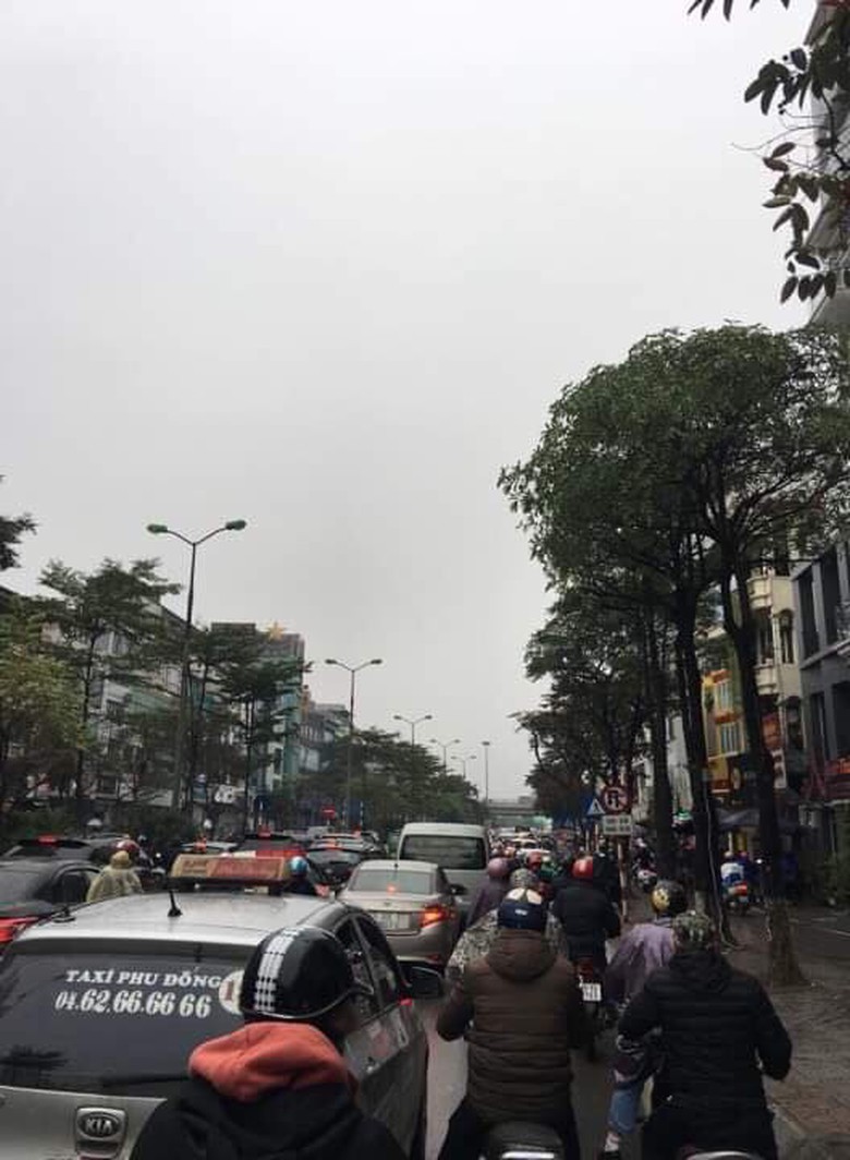 49653995_730031714050582_6756600584494645248_n