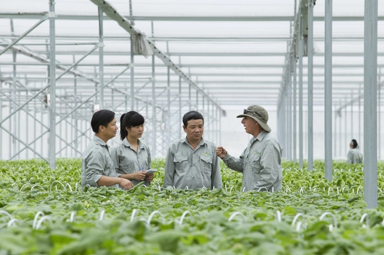 C&aacute;c c&aacute;n bộ sẽ được VinEco cử đến hướng dẫn trực ti