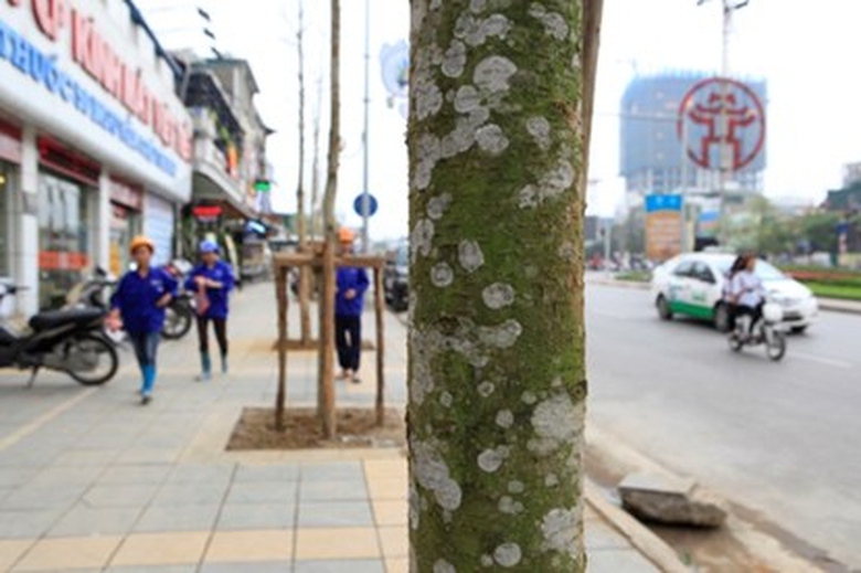 QKQG1_9__VQYH.JPG.ashx