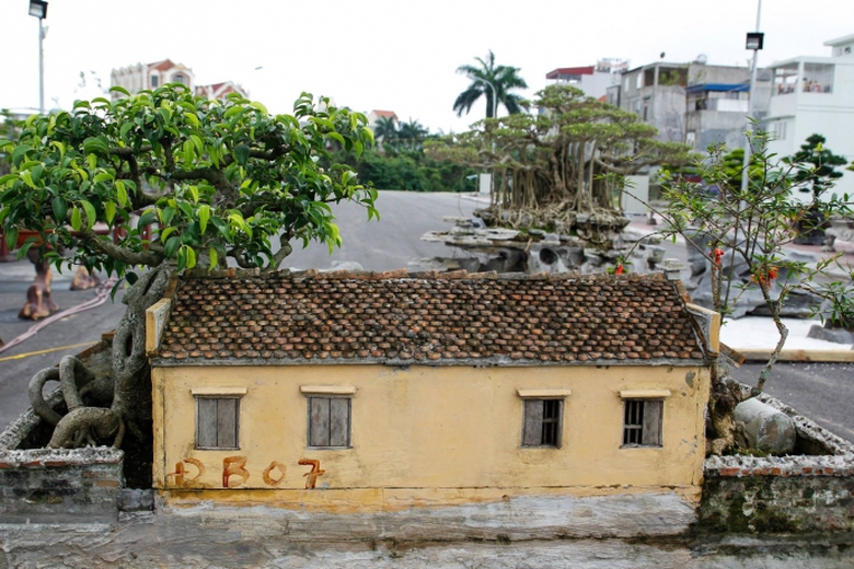 11111161_10205586910346112_7531599139437189686_o