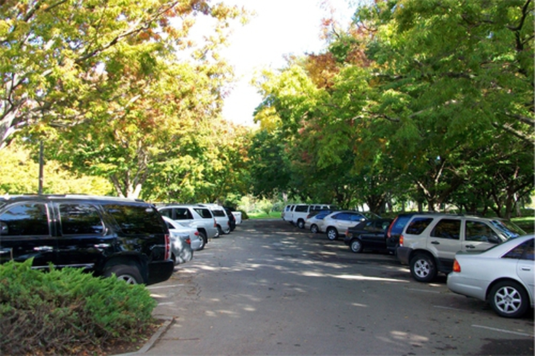 Do-xe-tranh-anh-nang-7202-1432783297