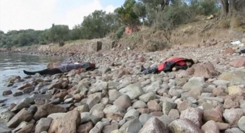 thonhikychimxuongnguoidicu