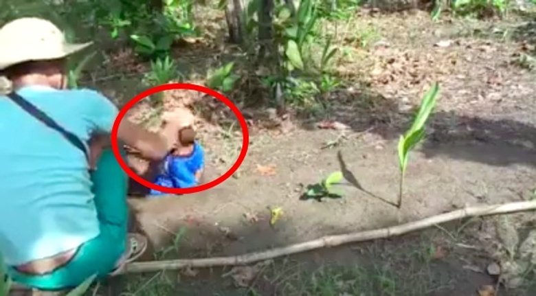 Screen-Shot-2016-12-06-at-8.59.21-AM