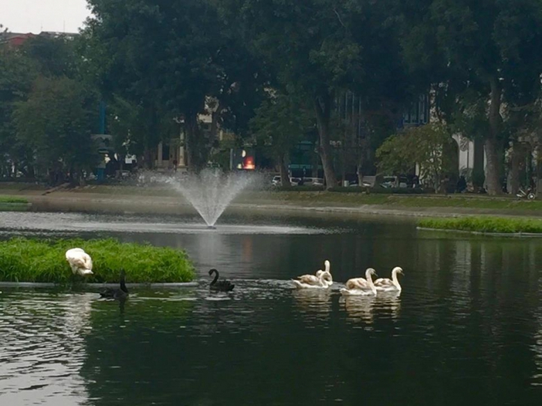 thien nga hồ thiền quang 3