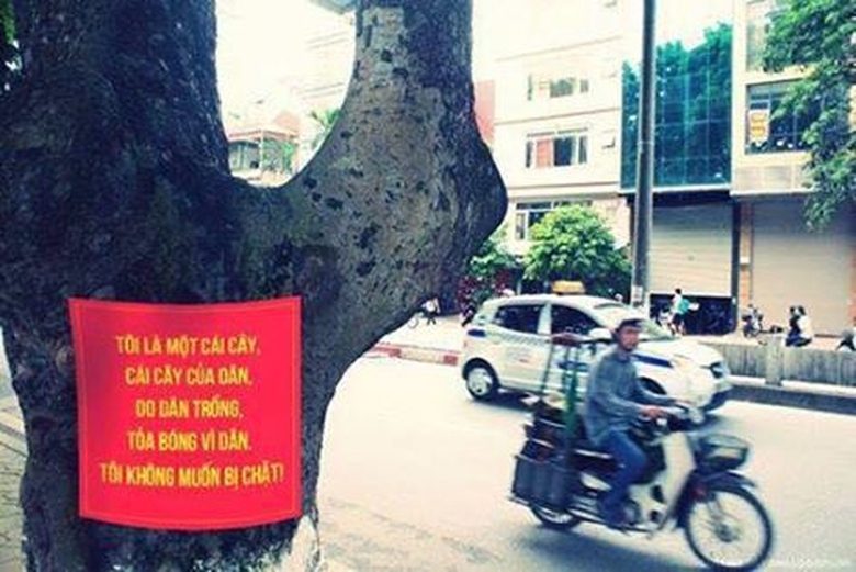 10995582_1425763884387482_5737482367777811582_n