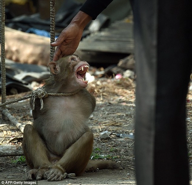 30E76DA400000578-3433482-image-m-9_1454714417756