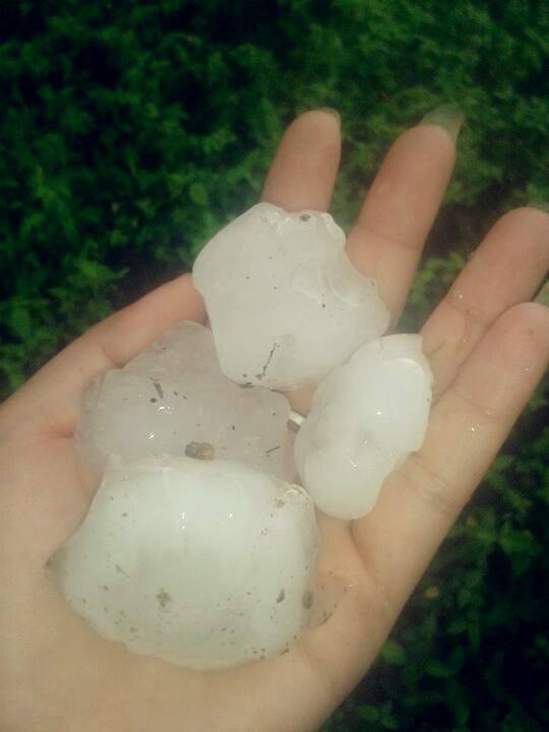 12472655_756650471137180_4729509636497204405_n