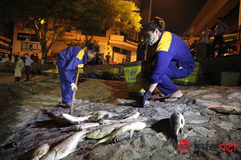 infonet_vot_ca_ho_hoang_cau_007