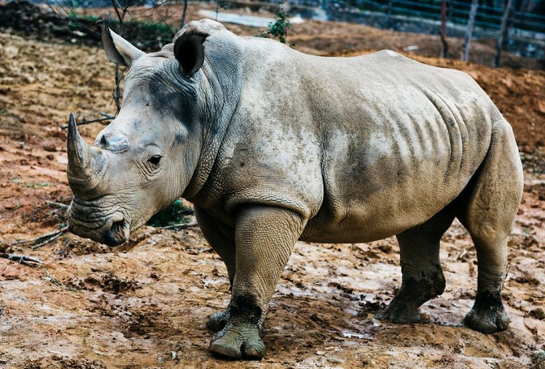 13592402_1097963266963160_1973718093142747652_n