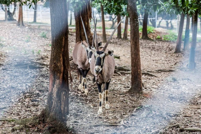 13627006_1097963763629777_4884694844075213139_n