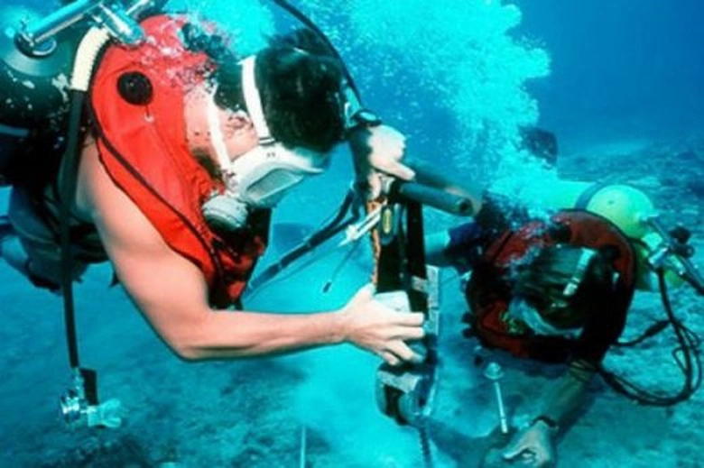 image-1488079496-cap-vn2