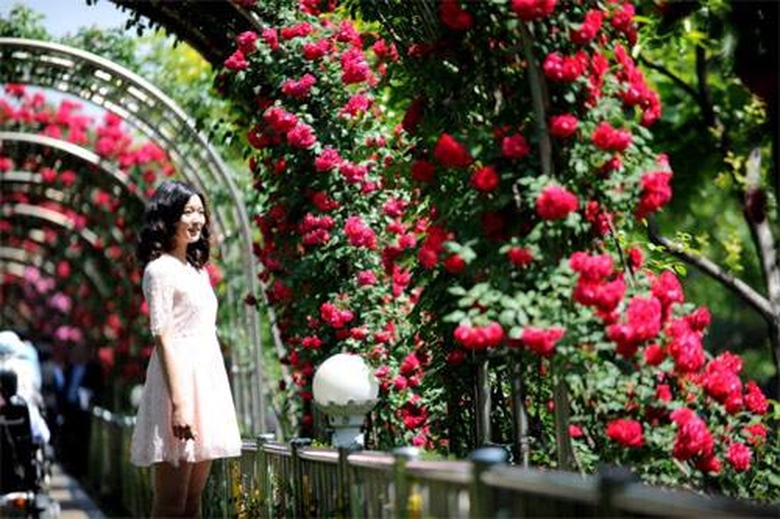 16265573_1437764789856350_5940086431417747504_n