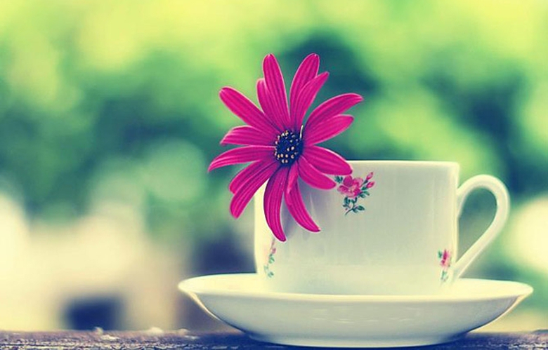 2016-03-03_uhvEHUKXiB.vi