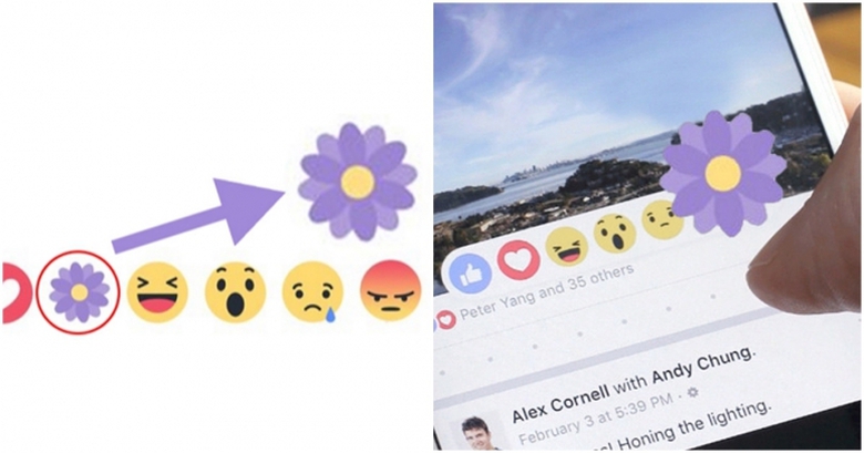 f0bf5df4-c35f-4d5e-9ae0-eccf5e71678d