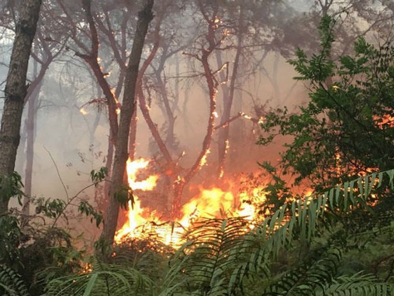 1496677207590-chay-rung