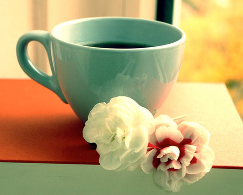 ngaynaytuvi12cunghoangdaongay19420152