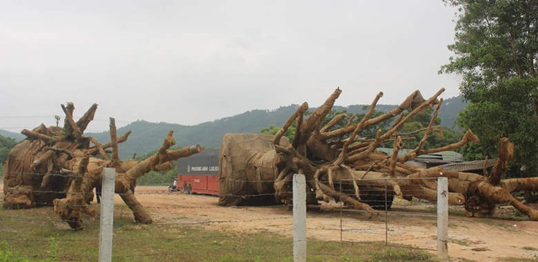 173517-vu-3-cay-khung-nhu-quai-thu-o-hue-cong-an-v