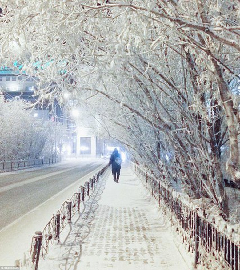 1481252350-148124532097783-10--copy-