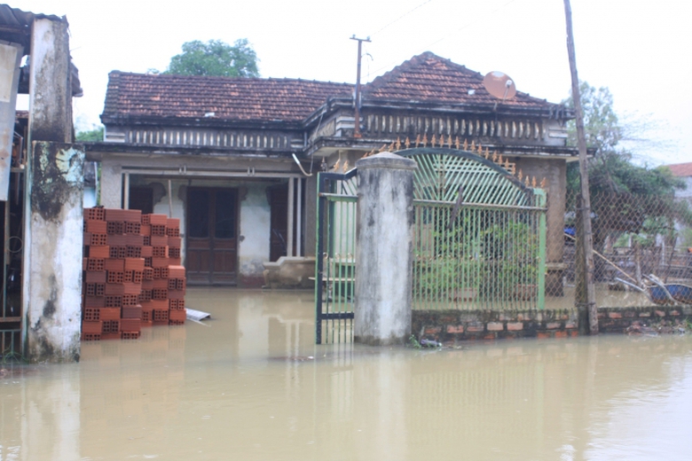 Lu-chong-lu-Binh-Dinh-ngup-lan-trong-dong-nuoc-bac