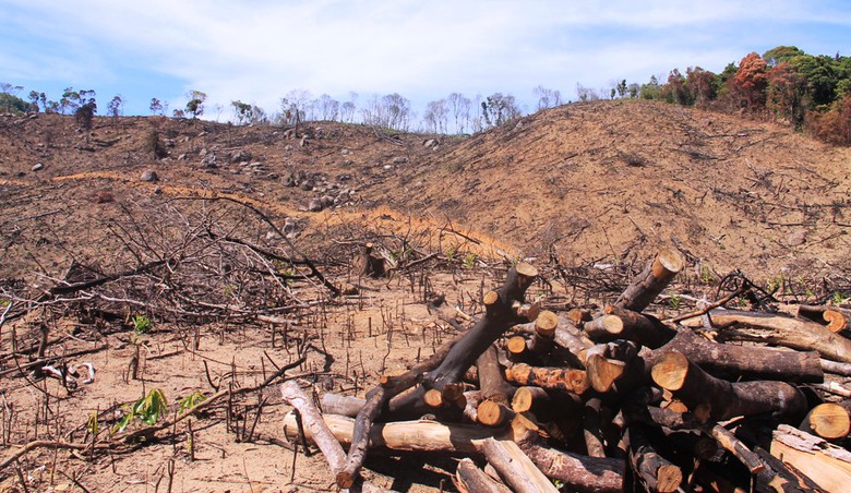 Hien-truong-tan-hoang-34ha-rung-bi-xoa-so-2