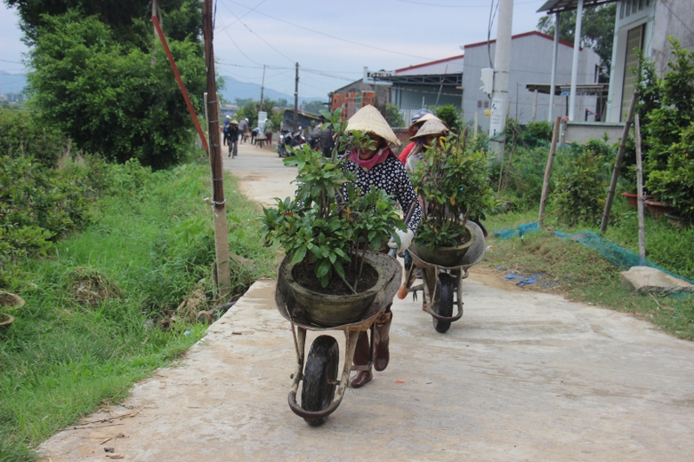 Hoc-sinh-Binh-Dinh-nghi-hoc-tranh-bao